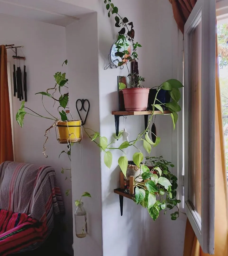 Quarto em Acomodações Particulares Habitacion En Departamento De Artistas En El Corazon De Mendoza